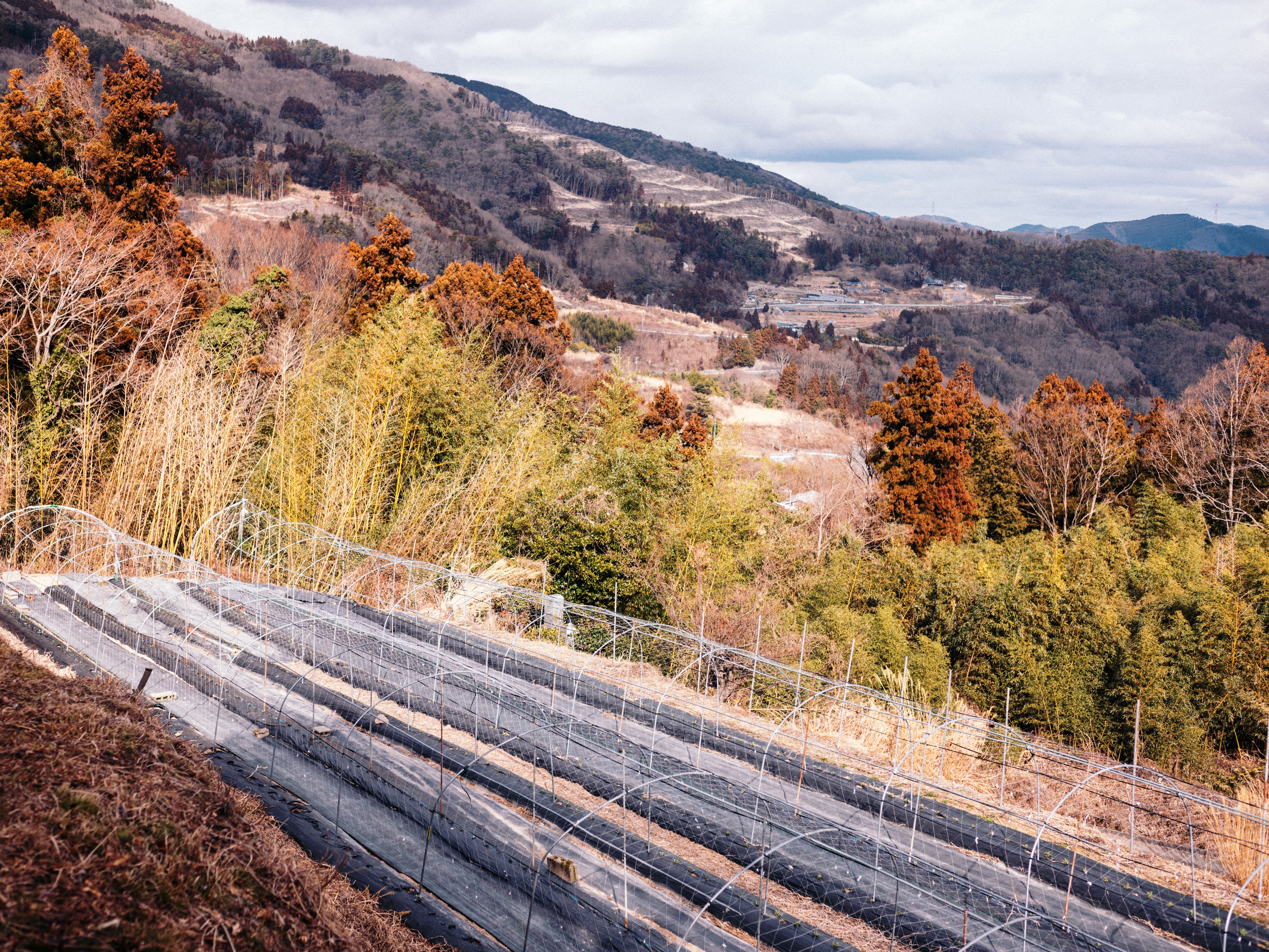 山人（やまんと）の暮らしを通して、山奥の農業を体験しませんか_3