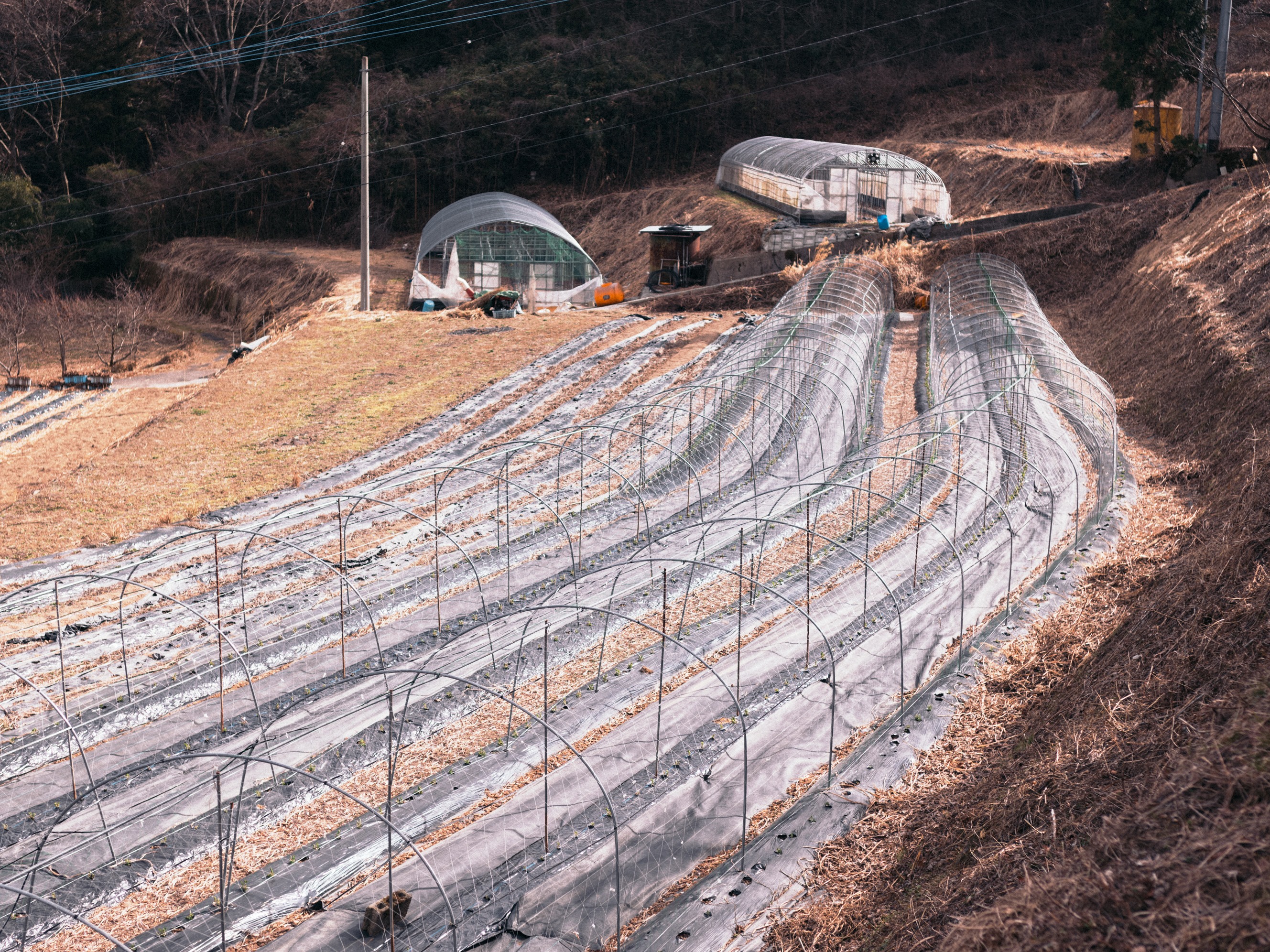 山人（やまんと）の暮らしを通して、山奥の農業を体験しませんか_4