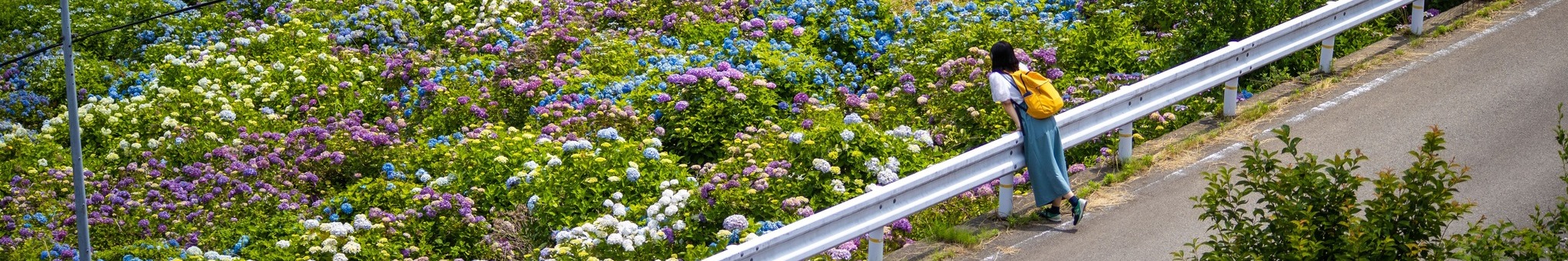 いなくるトップページバナー2